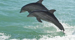 Captiva Island