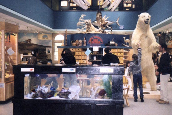 natural_history