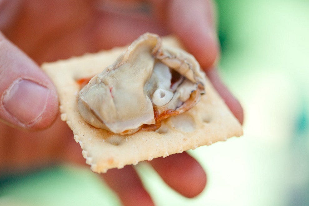 Lowcountry Oyster Festival Charleston Attractions Review 10Best