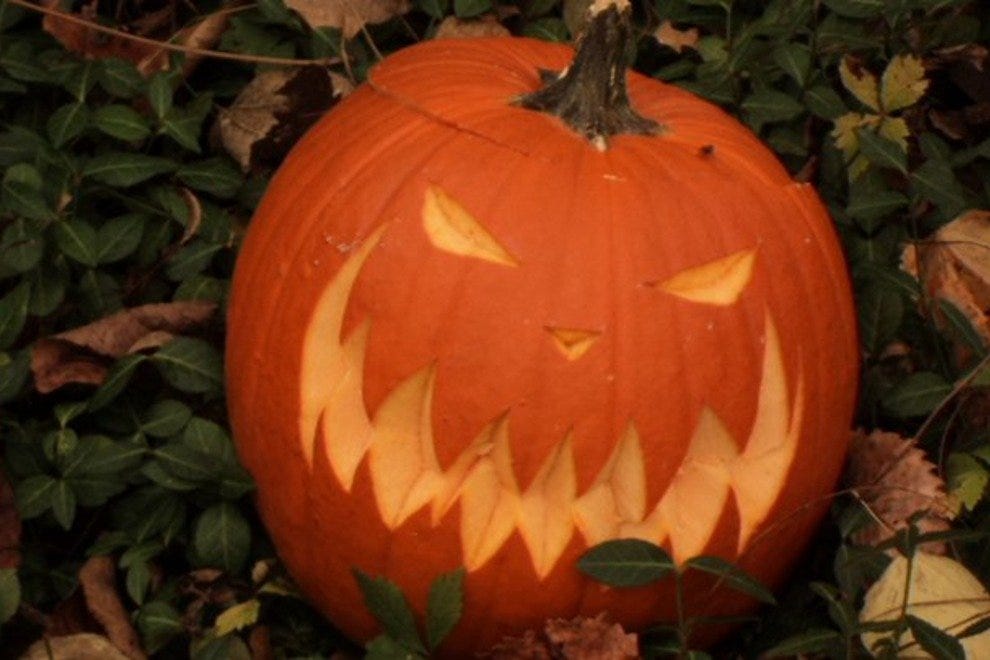 Cave Spring Kansas City Attractions Review 10Best Experts and