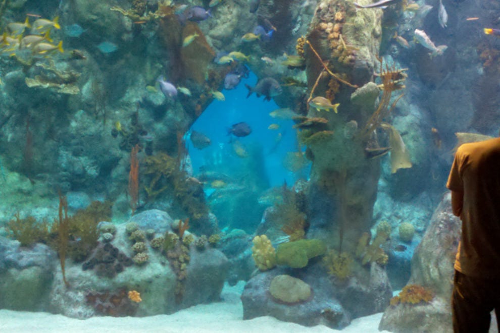ABQ BioPark Aquarium Albuquerque Attractions Review 10Best Experts