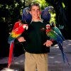 Parrots posing with trainer