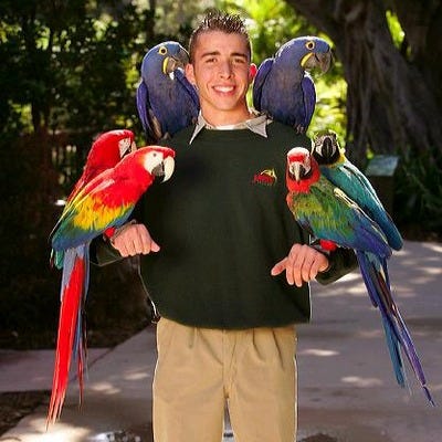 Parrots posing with trainer