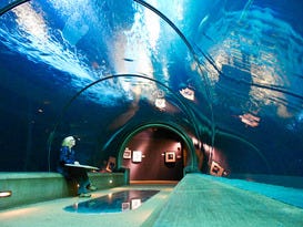 Oregon Coast Aquarium