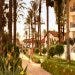 La Costa Resort &amp; Spa, couple walking through grounds