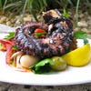 Octopus.jpg