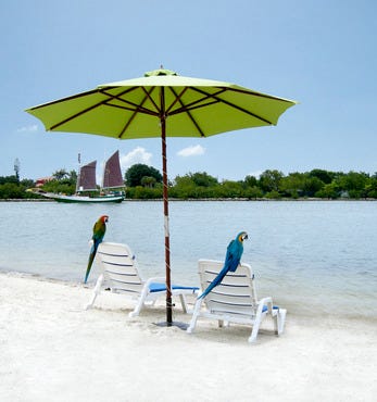 La Playa 1 small.jpg