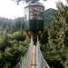 Cedar Creek Treehouse - Mount Rainier National Park, Washington State