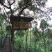 Tranquil Tree House - Wayanad, India