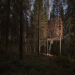 Bird's Nest, Treehotel - Harads, Sweden