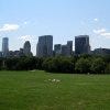 Central Park meadow