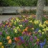 The Sensory Garden celebrates the fragrances, sounds, colors, textures, and movement of plants.