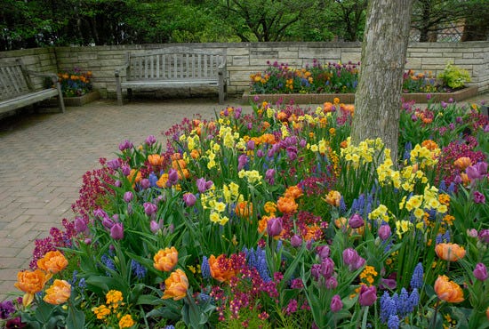 The Sensory Garden celebrates the fragrances, sounds, colors, textures, and movement of plants.