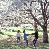 Children playing near the garden's flowering trees in spring.