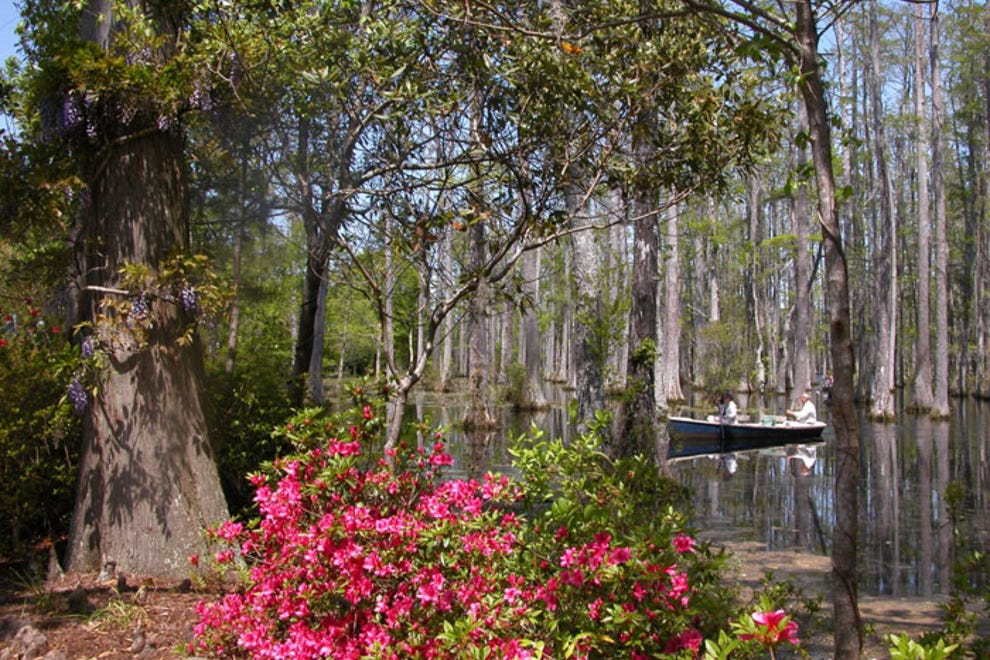 Cypress Gardens Charleston Attractions Review 10Best Experts and