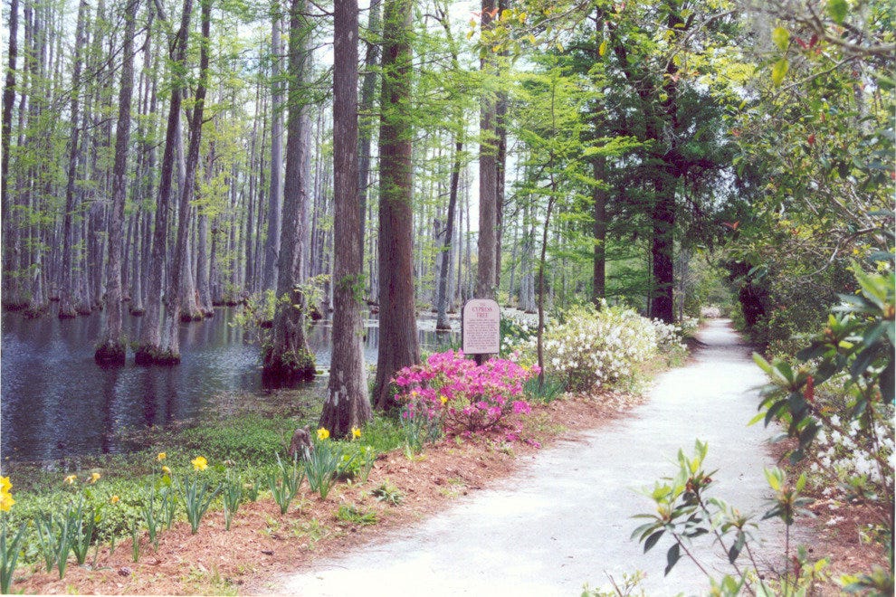 Cypress Gardens Charleston Attractions Review 10Best Experts and