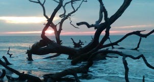 Escape the Bright Lights of Myrtle Beach At Bull Island