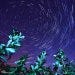 Stargazing