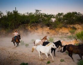 Dude Ranch Vacations in Arizona, Colorado, and New Mexico