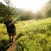 Hiking amid sunlight and greenery.