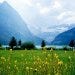 Lake Louise's magnificent blue waters are an amazing draw in the national park.