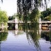 The lake and bridge at the Boston Public Garden, the first public botanical garden in the United States; Boston, Massachusetts.