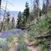 Cruise the ATV Trail Near Bryce Canyon