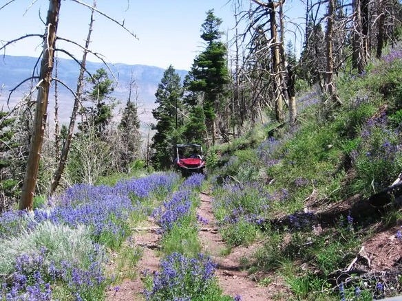 Cruise the ATV Trail Near Bryce Canyon