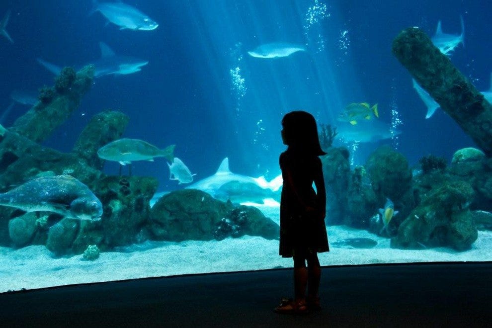 ABQ BioPark Aquarium Albuquerque Attractions Review 10Best Experts