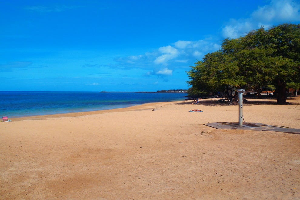 Spencer Beach Park Big Island Attractions Review 10Best Experts and