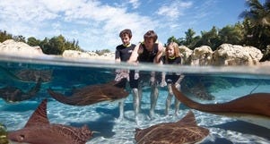 Attractions