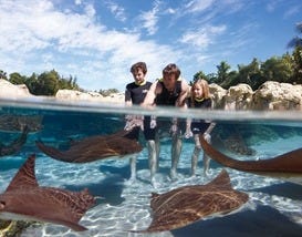 Photo courtesy of <a href="http://www.visitorlando.com" target="_194364917" rel="nofollow">Visit Orlando</a>