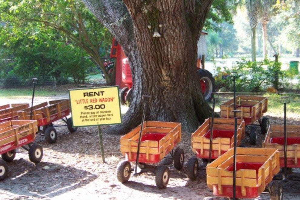 Green Meadows Petting Farm Orlando Attractions Review 10Best Experts