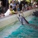 SeaWorld San Antonio.jpg