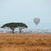 Balloon ride over the Serengeti