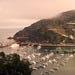 Catalina Harbor Sunset.jpg
