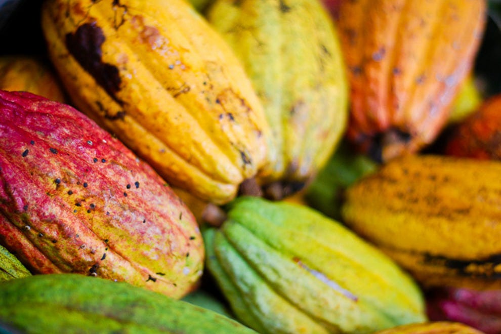 Kakawa Chocolate House Santa Fe Restaurants Review 10Best Experts