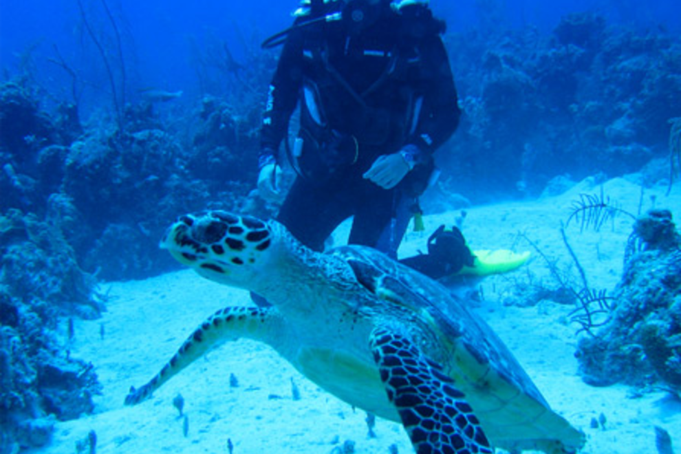 Nassau Scuba Diving and Snorkeling 10Best Bahamas Scuba Reviews