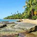 PUnta Uva