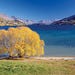 Frankton Arm in autumn