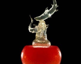 Renaissance Vinoy Celebrates Return of Dale Chihuly to St. Pete