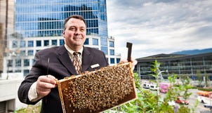 10Best Visits Rooftop Honeybees at Fairmont Hotels