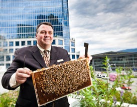 10Best Visits Rooftop Honeybees at Fairmont Hotels