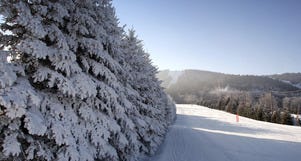 10 Best Winter Activities In The Pocono Mountains