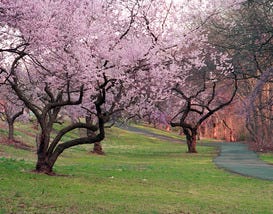 Newark, NJ, USA Overview Slideshow