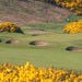 Royal Dornoch Golf Club