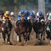 The Kentucky Derby - An American Tradition