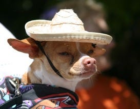 10Best Places to Celebrate Cinco de Mayo