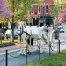 Lexington - Capital of Bluegrass Country