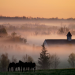 A Rich Equine Heritage